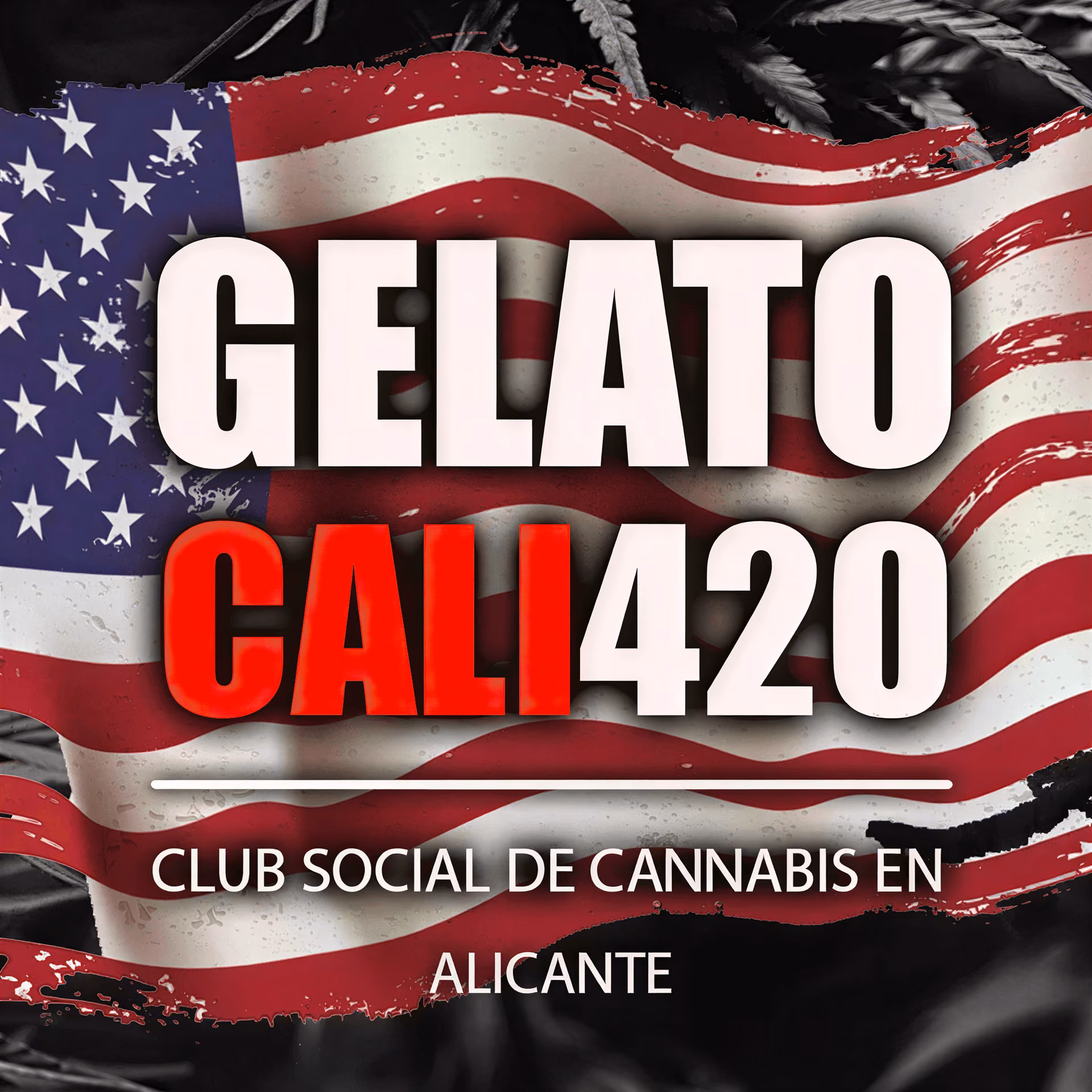 Cannabis Social Club Gelato Cali 420 in Alicante logo